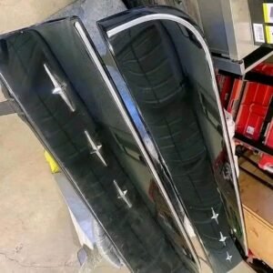 1959 / 1960 Impala skirts, 12×60 these are in good condition. The paint is nice
